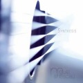 Miguel Manescau - Synthesis